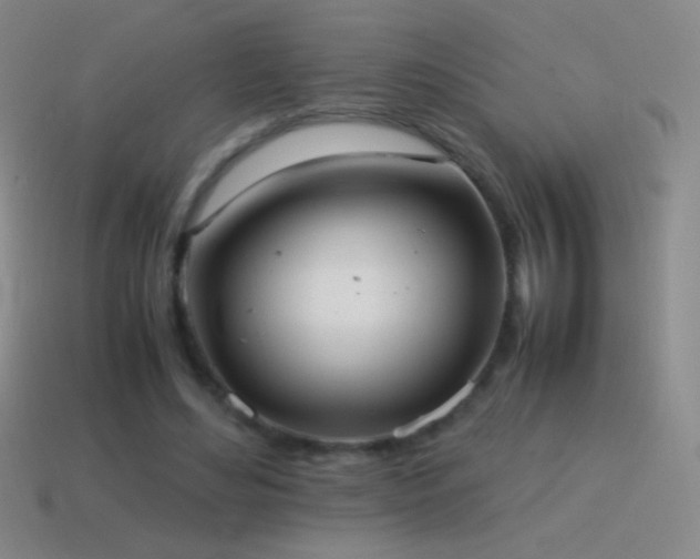 X0000115580492200911101151