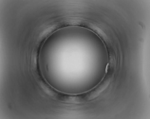 X0000115580493200911101151