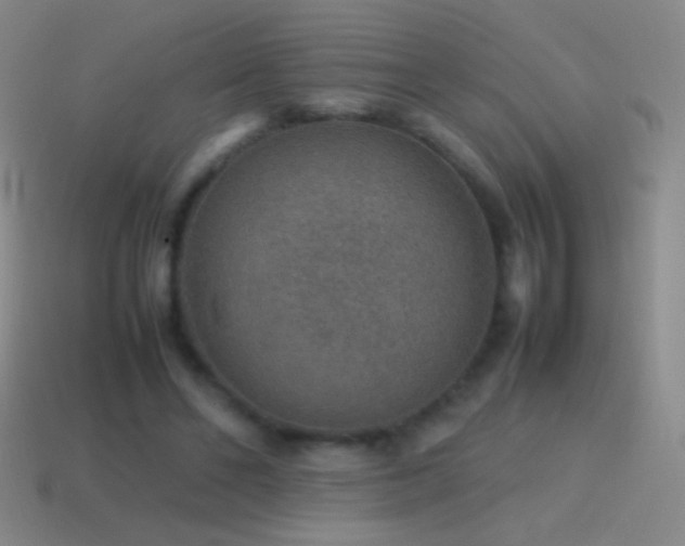 X0000115580494200911101151