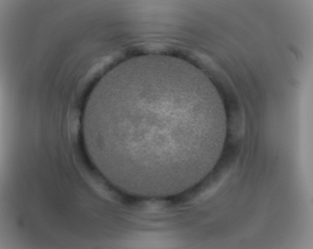 X0000115580495200911101151