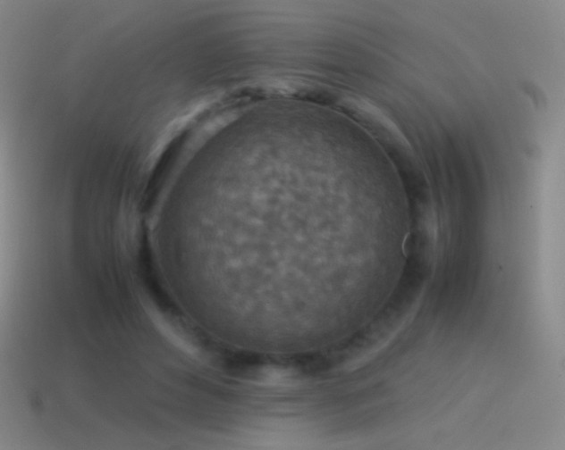 X0000115580496200911101151