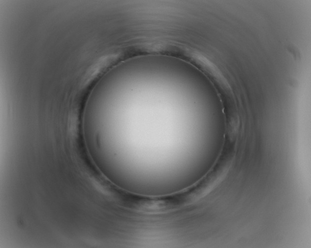 X0000115580497200911101151