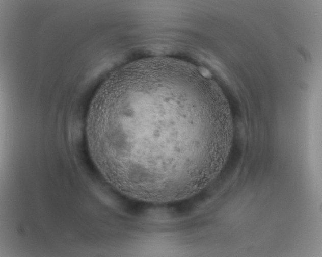 X0000115580499200911101151