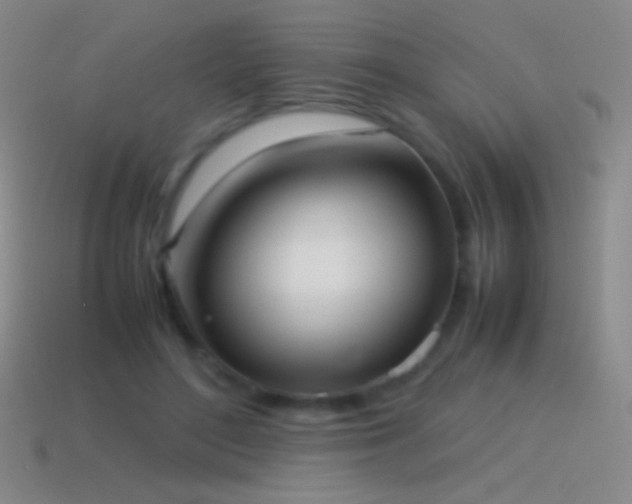 X0000115580500200911101151