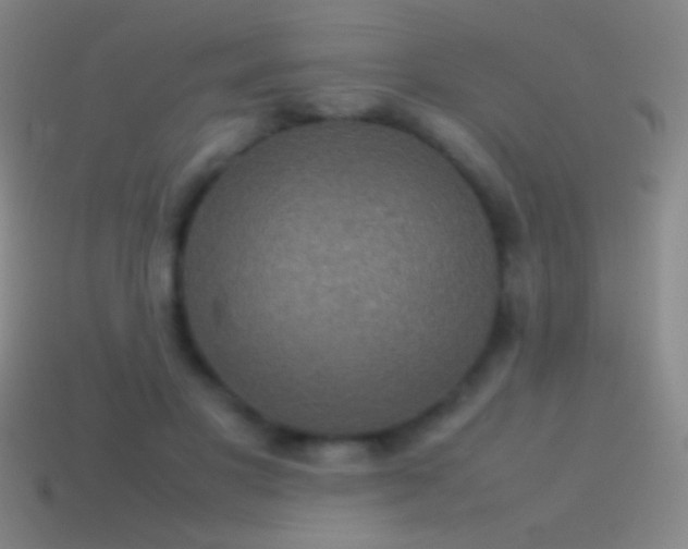 X0000115580501200911101151