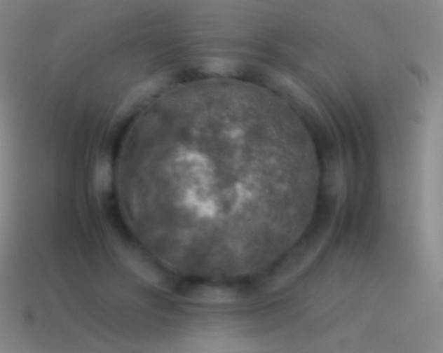 X0000115580502200911101151