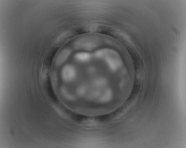 X0000115580503200911101151