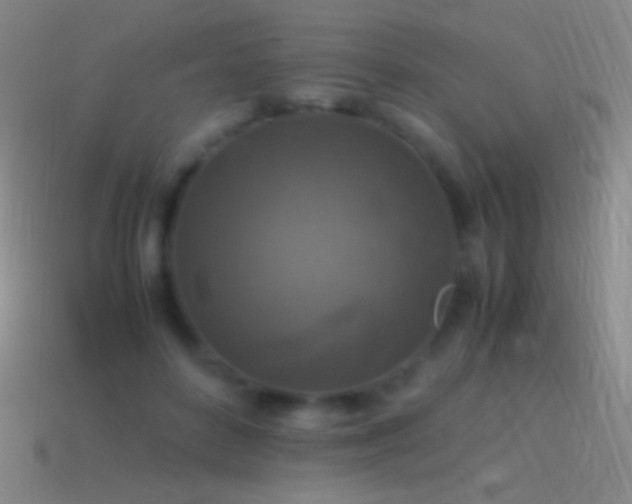 X0000115580504200911101151