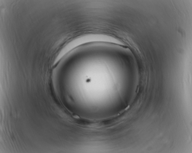 X0000115580505200911101151