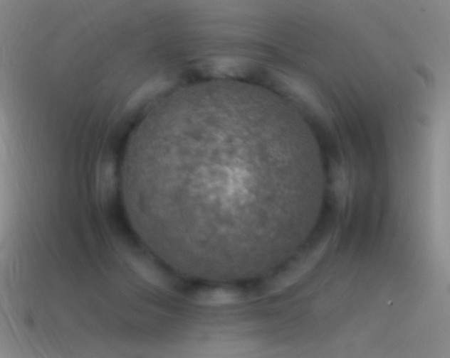 X0000115580506200911101151