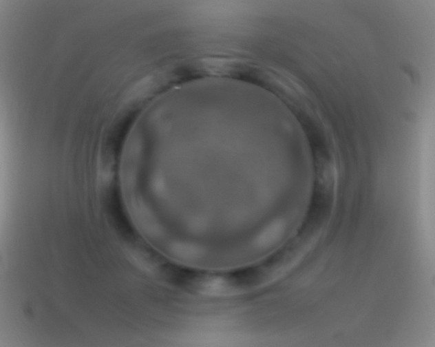 X0000115580507200911101151