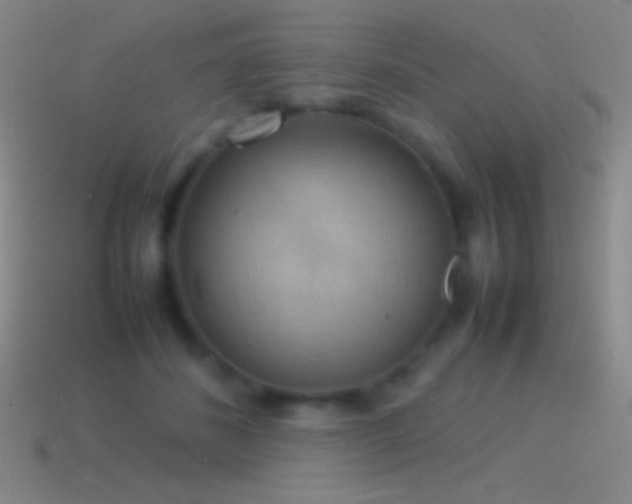 X0000115580508200911101151