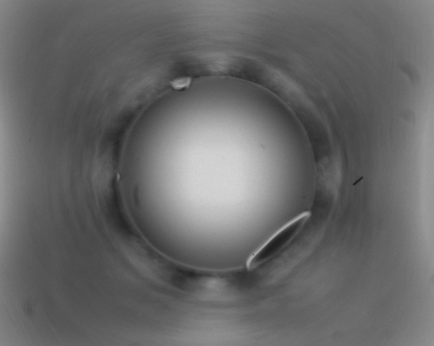 X0000115580509200911101151