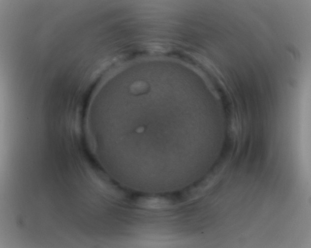 X0000115580512200911101151