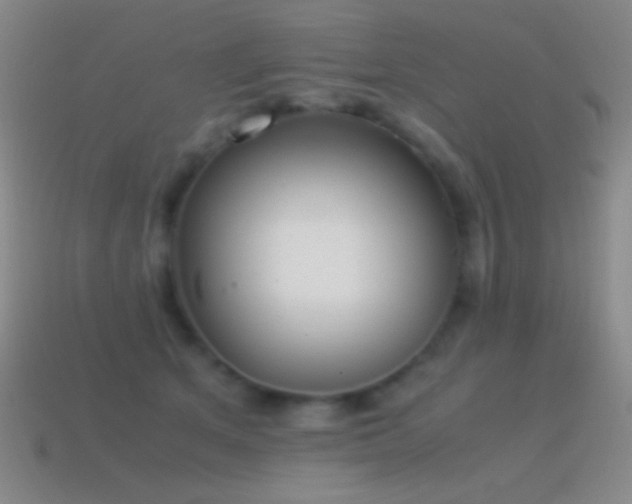 X0000115580513200911101151