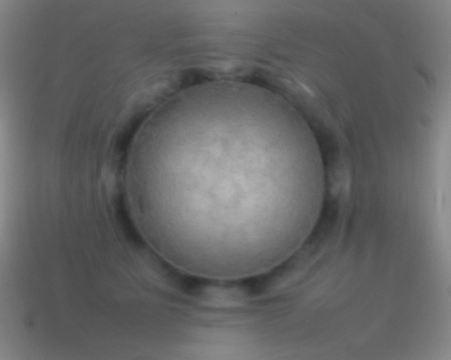 X0000115580515200911101151