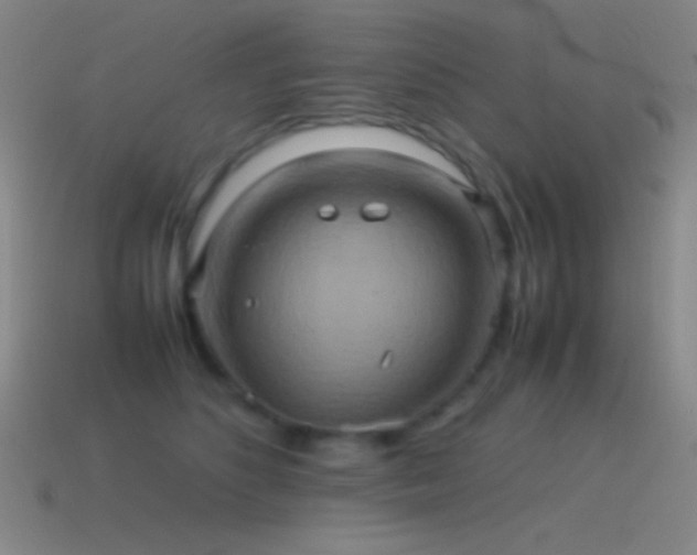 X0000115580516200911101151