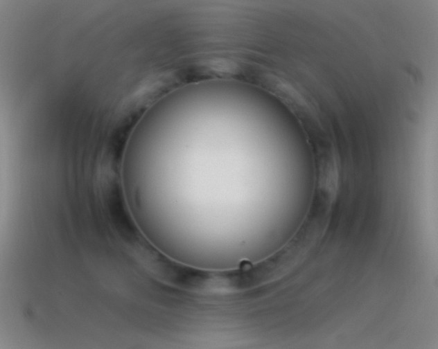 X0000115580518200911101151