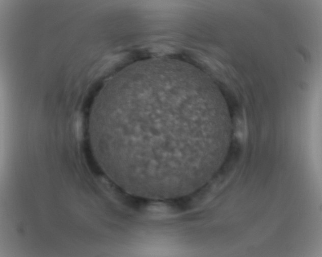 X0000115580519200911101151