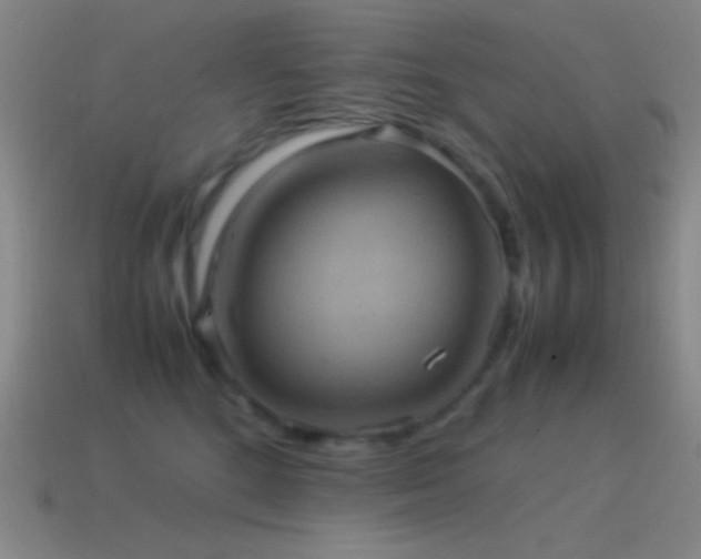 X0000115580520200911101151