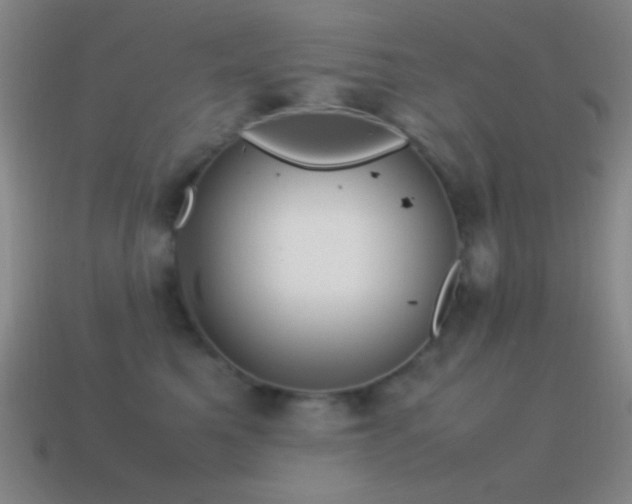 X0000115580521200911101151