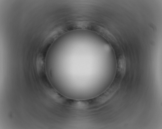 X0000115580522200911101151