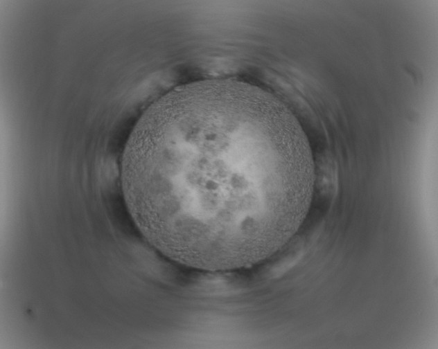 X0000115580523200911101151