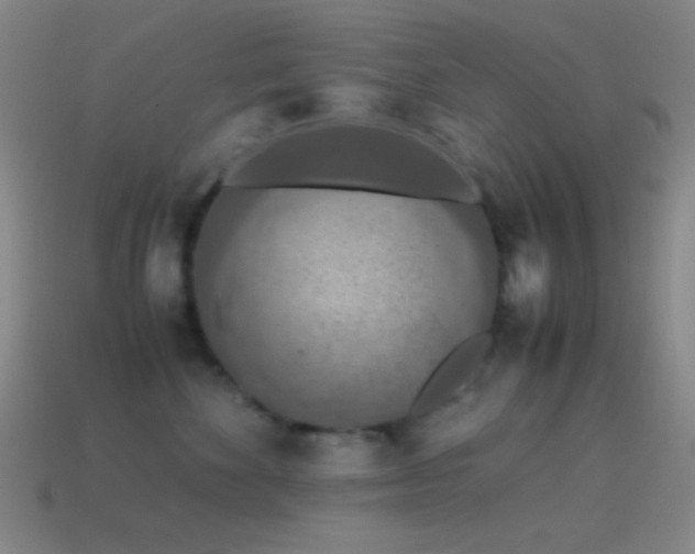 X0000115580524200911101151