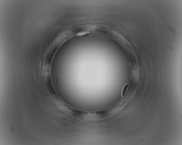 X0000115580525200911101151