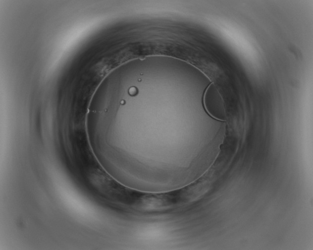 X0000115580526200911101151