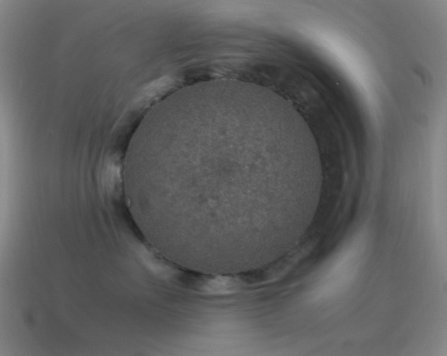 X0000115580527200911101151