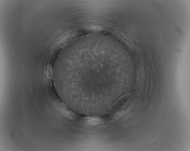 X0000115580528200911101150