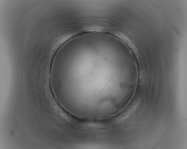 X0000115580529200911101150