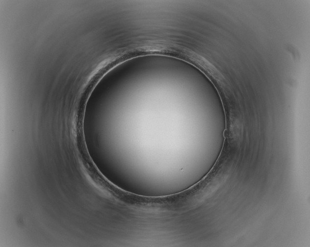 X0000115580530200911101150