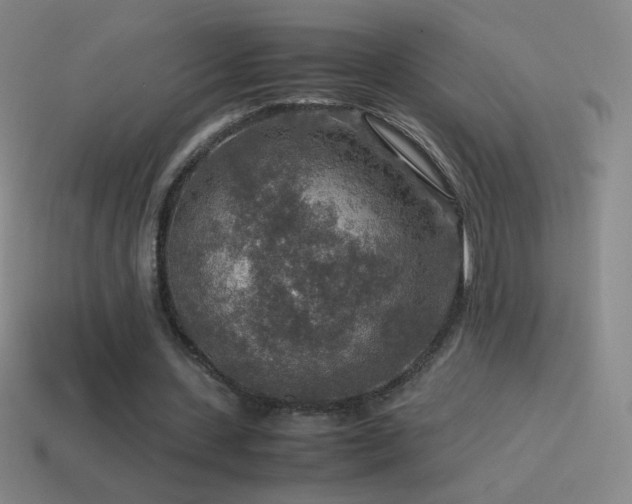 X0000115580531200911101150