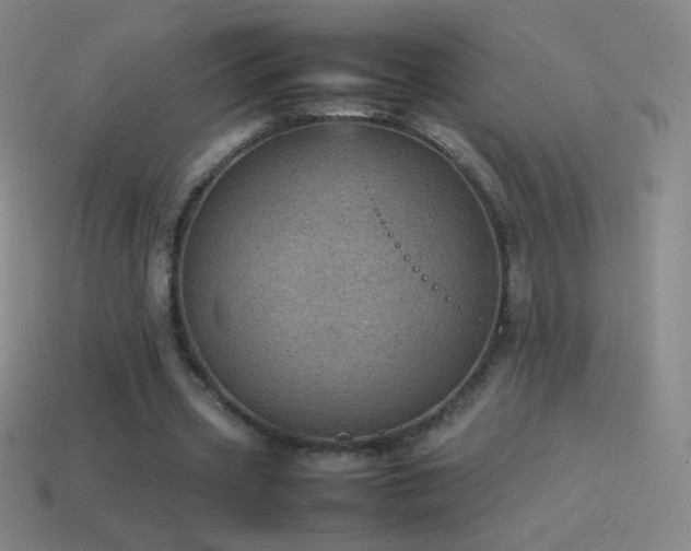 X0000115580533200911101150