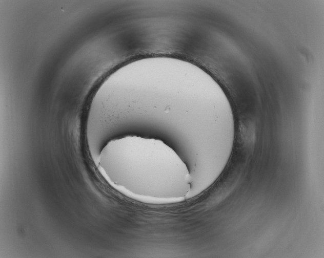 X0000115580534200911101150