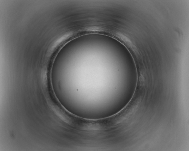 X0000115580535200911101150