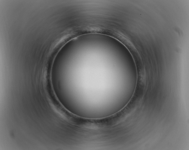 X0000115580538200911101150