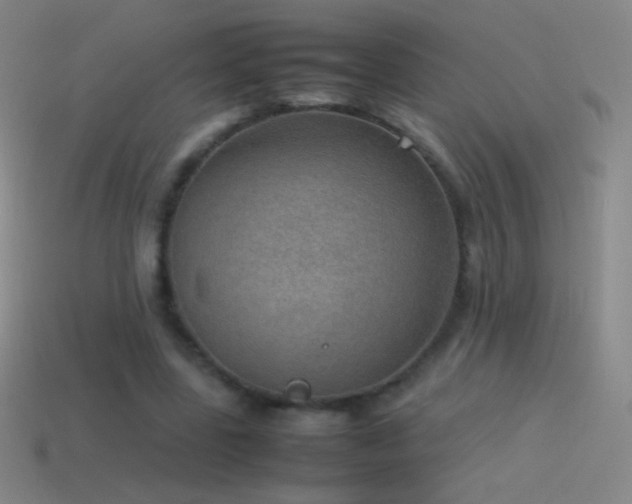 X0000115580539200911101150