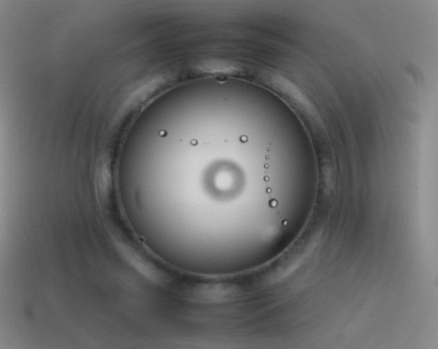 X0000115580541200911101150