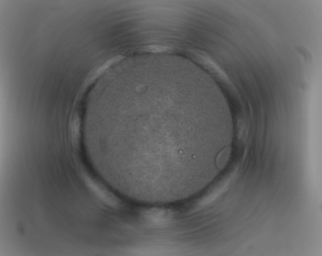 X0000115580542200911101150