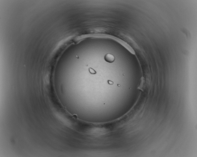 X0000115580543200911101150