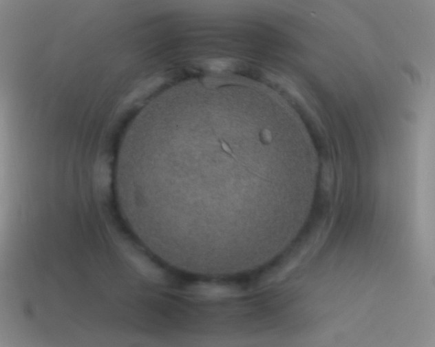 X0000115580545200911101150