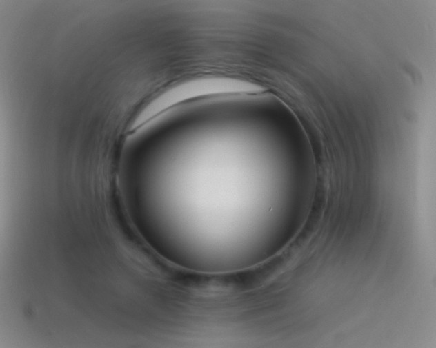 X0000115580546200911101150