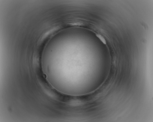 X0000115580547200911101150