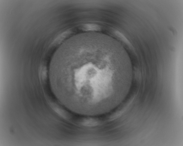 X0000115580549200911101150