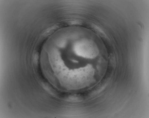 X0000115580550200911101150