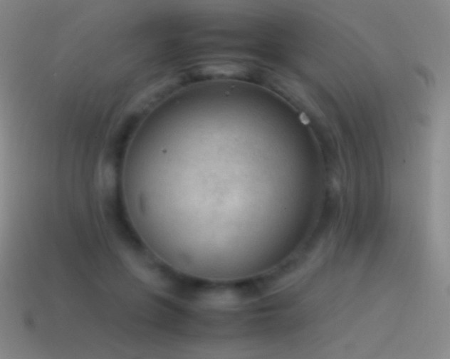 X0000115580551200911101150