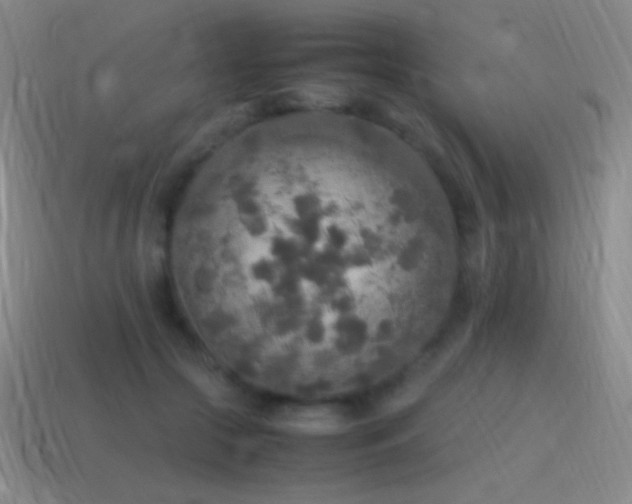 X0000115580553200911101150